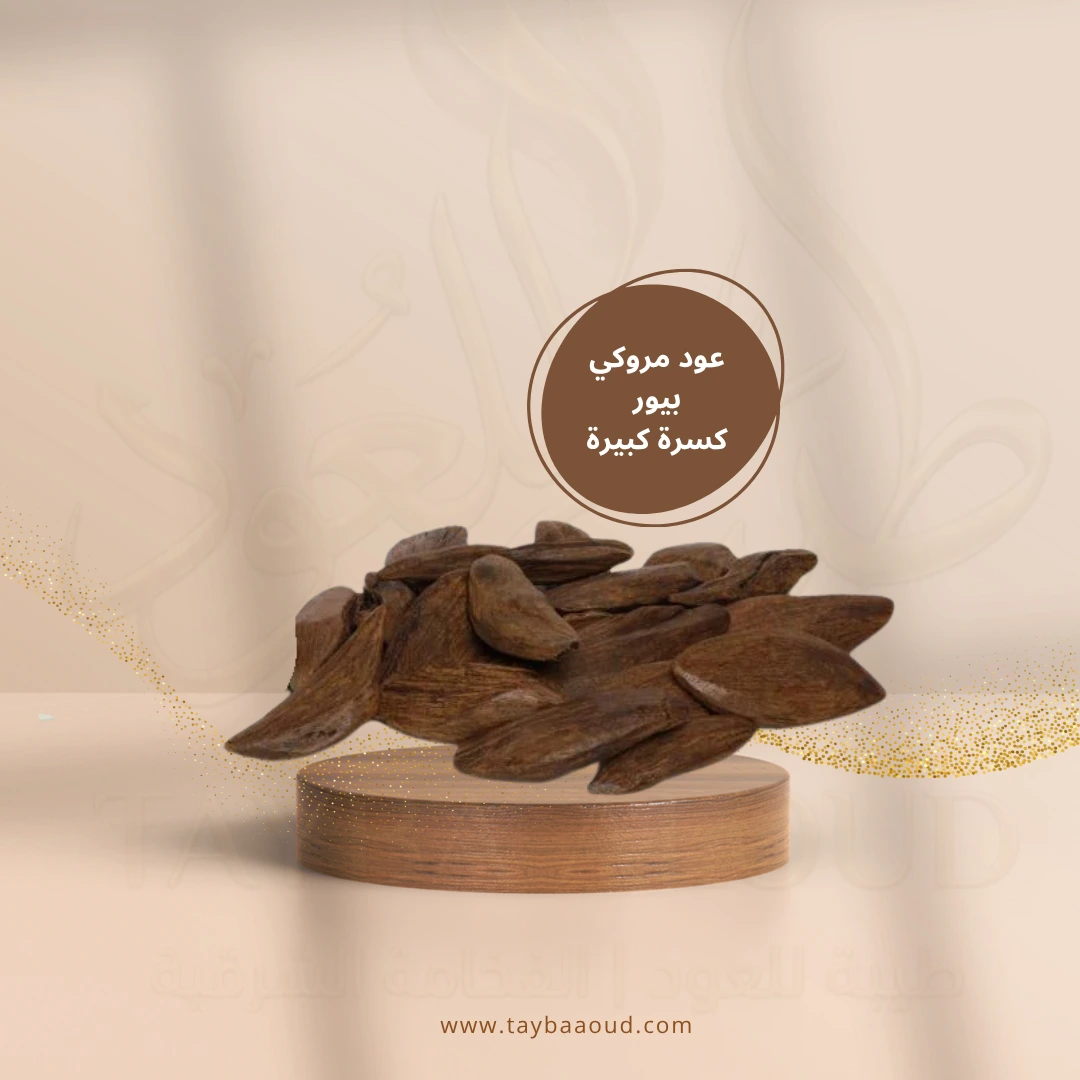 عود مروكي بيور (كسرة كبيرة)